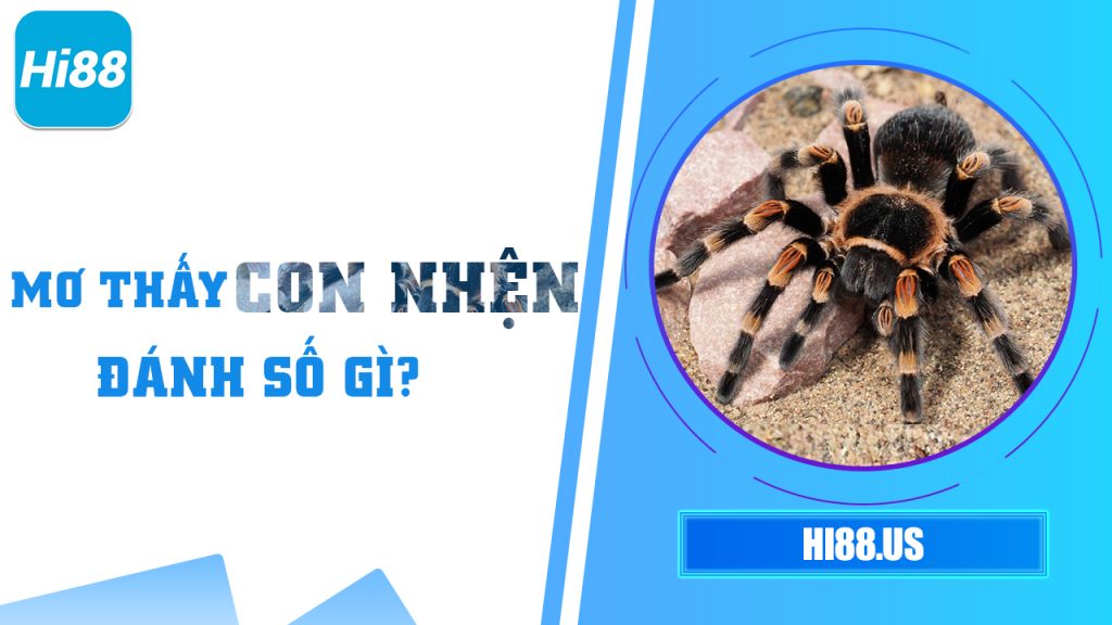 MO THAY CON NHEN DANH SO GI 24/05/2025