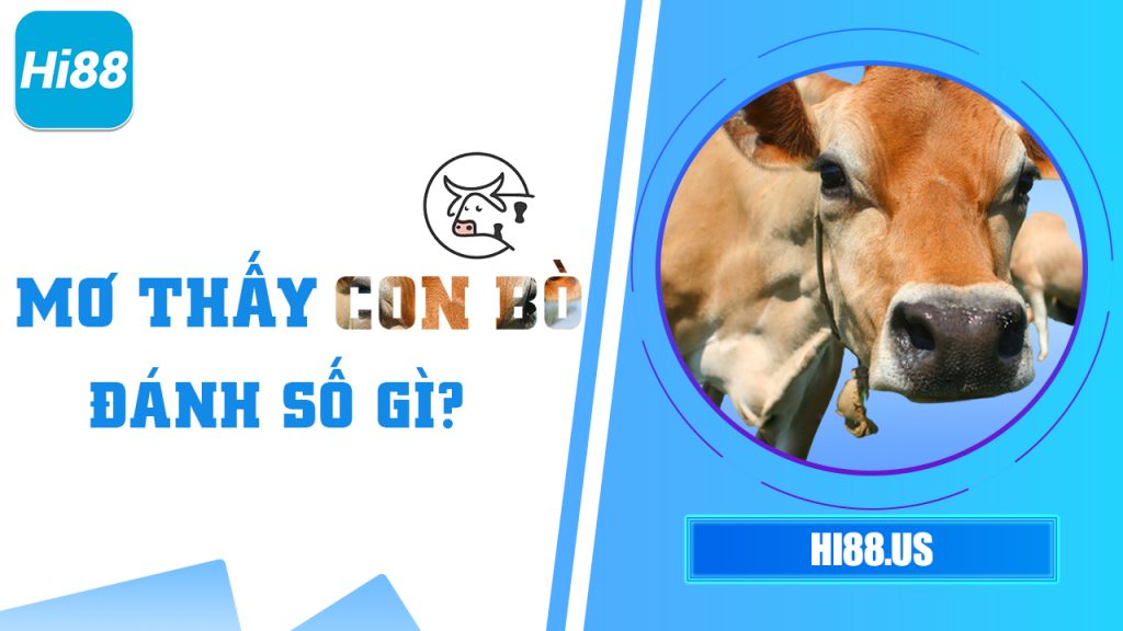 mo thay con bo danh so gi 24/05/2025