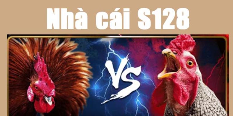 Khuyến mãi đặc biệt khi tham gia cá cược đá gà tại S128