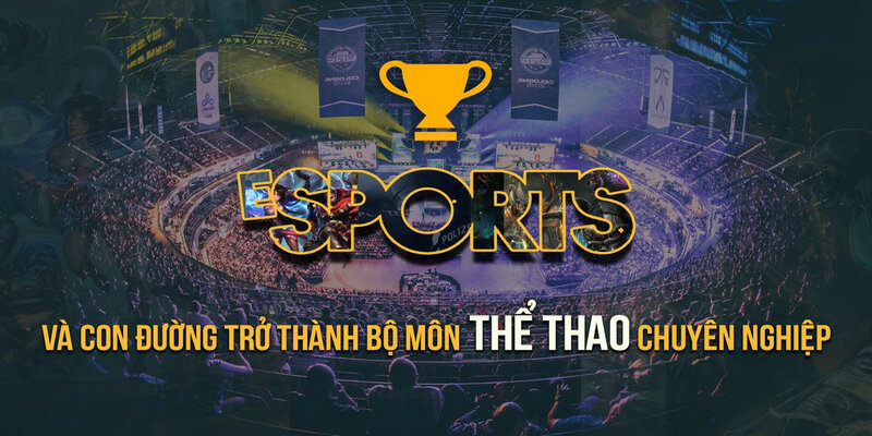 Nhà cái cá cược esports W388